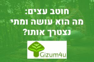 חוטב עצים מדריך