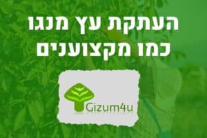 העתקת עץ מנגו